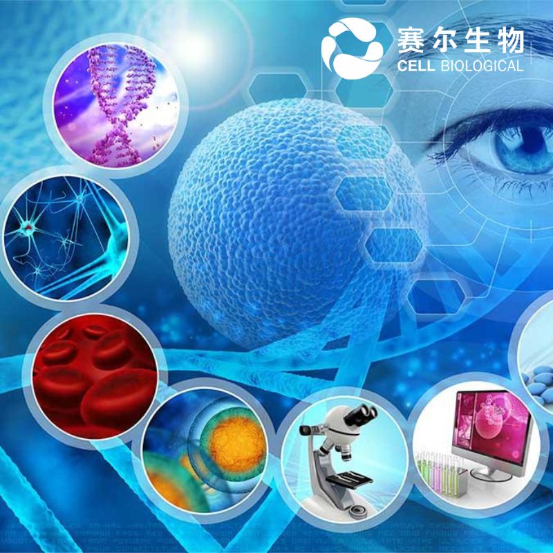 赛尔健康