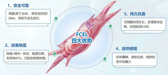 赛尔健康